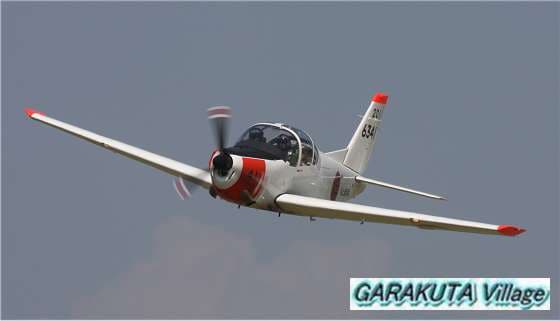 P20090531-IMG_7113-2